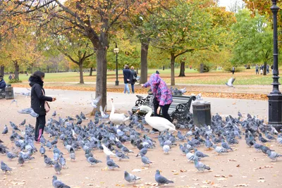 DSC_0628 (Large).JPG